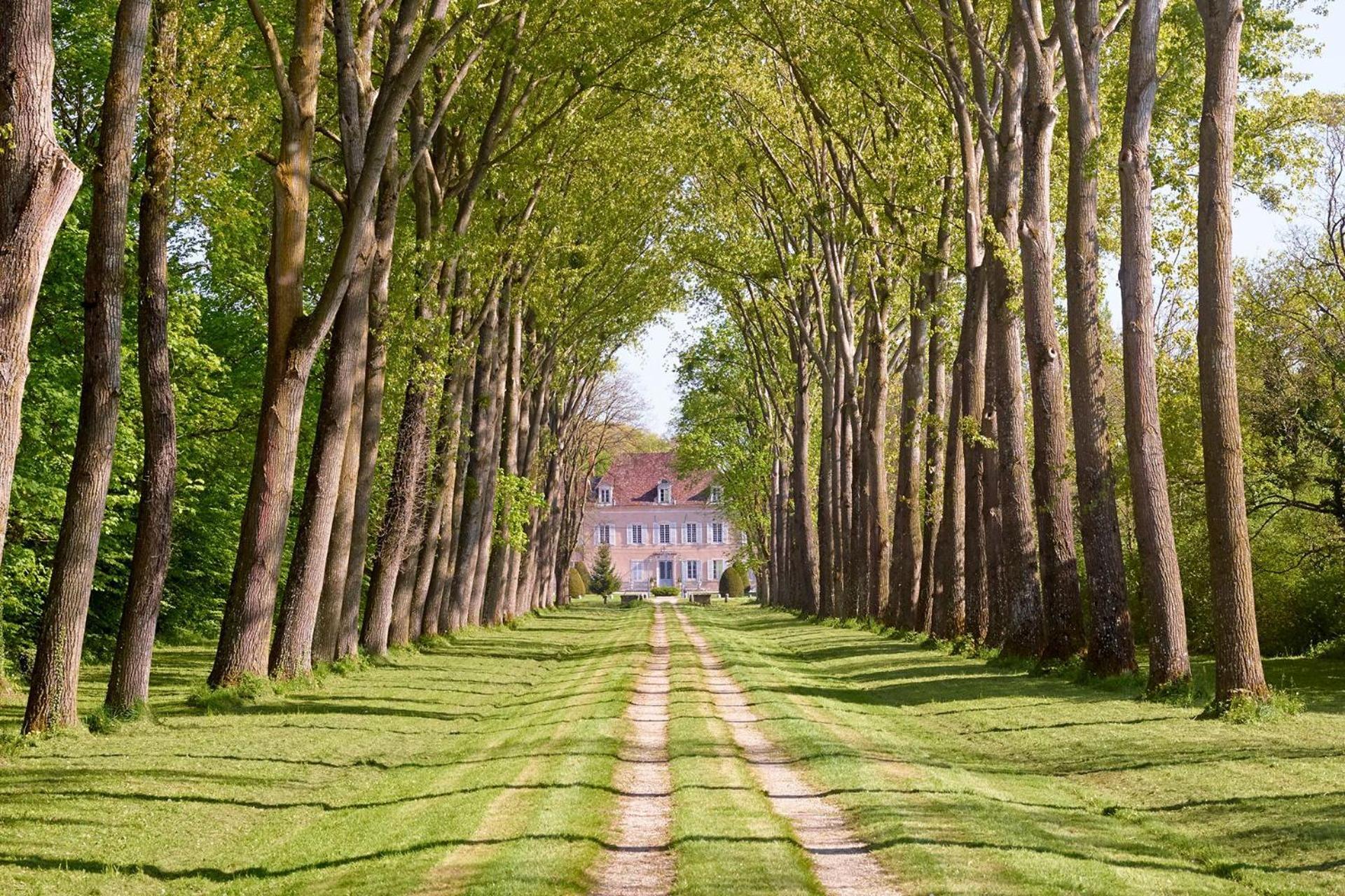 Chateau De Quincey Extérieur photo